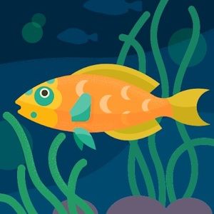 Meet your Posher, Livbart13